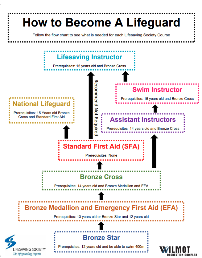 Flowchart showing how to become a lifeguard
